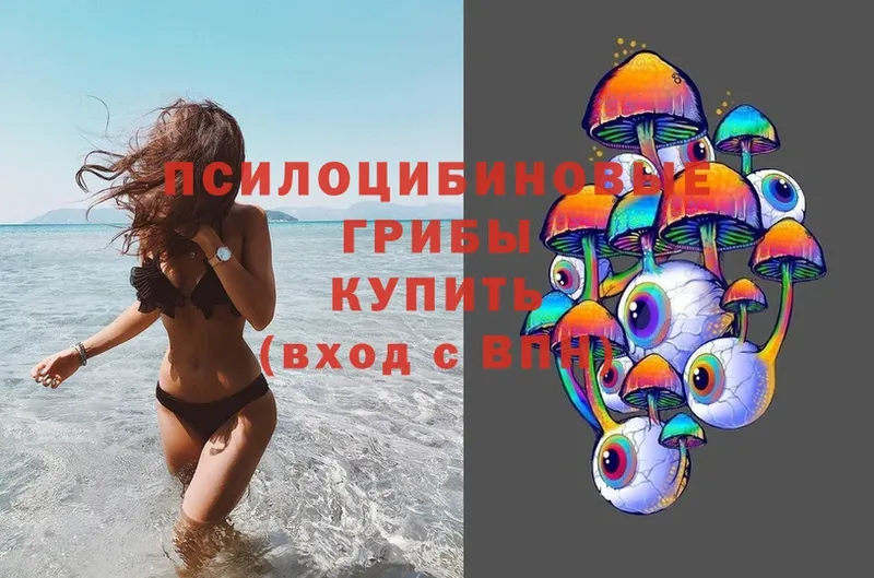 Псилоцибиновые грибы Magic Shrooms  купить наркоту  Анапа 